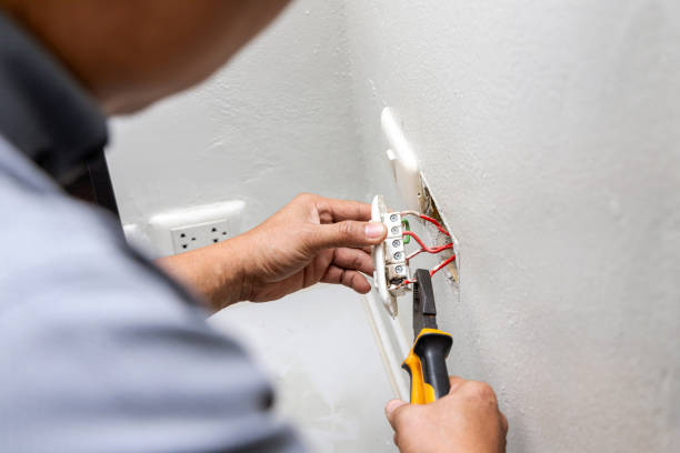 Best Electrical Rewiring Services  in Imlay City, MI